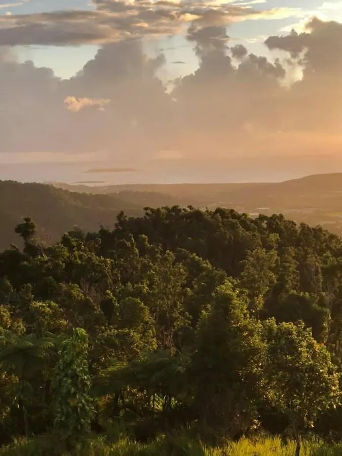 Serenity Rainforest Retreat Villa Fajardo 0*,