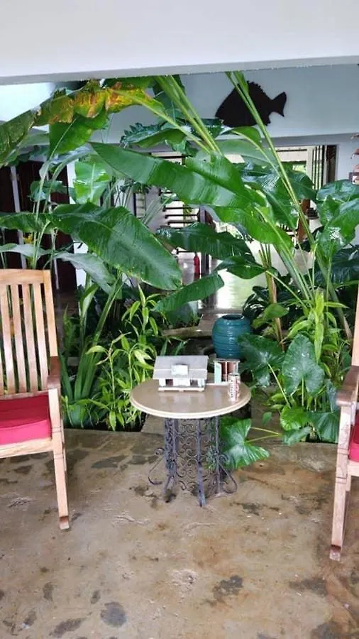 Serenity Rainforest Retreat Villa Fajardo Lodge