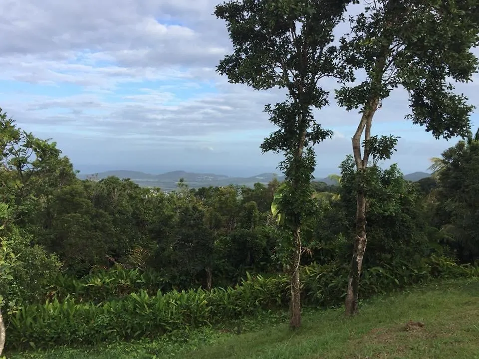 Serenity Rainforest Retreat Villa Fajardo Lodge