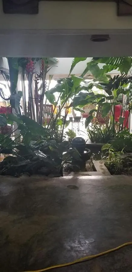 Serenity Rainforest Retreat Villa Fajardo Puerto Rico